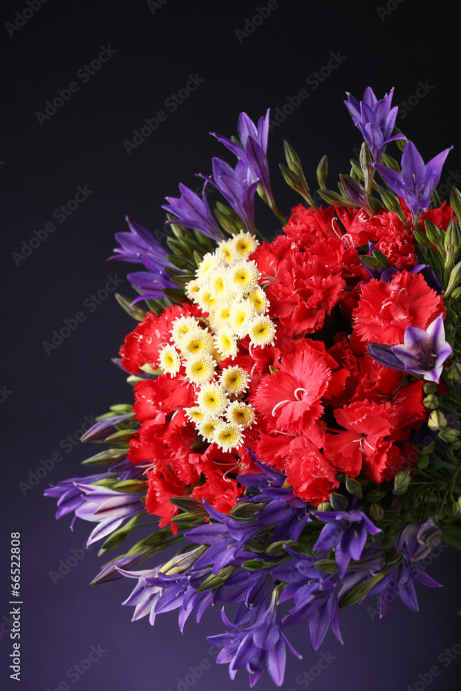 Beautiful wild flowers, on dark blue background Beautiful wild flowers, on dark blue background