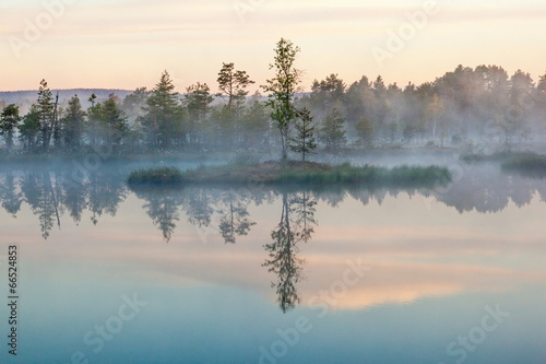 Misty morning