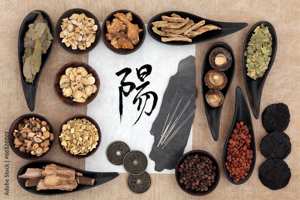 Chinese Herbal Medicine Chinese Herbal Medicine