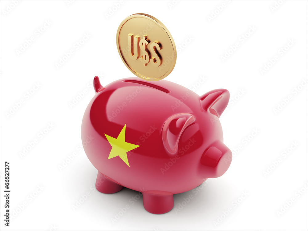 Vietnam Dollar Sign Concept Piggy Concept