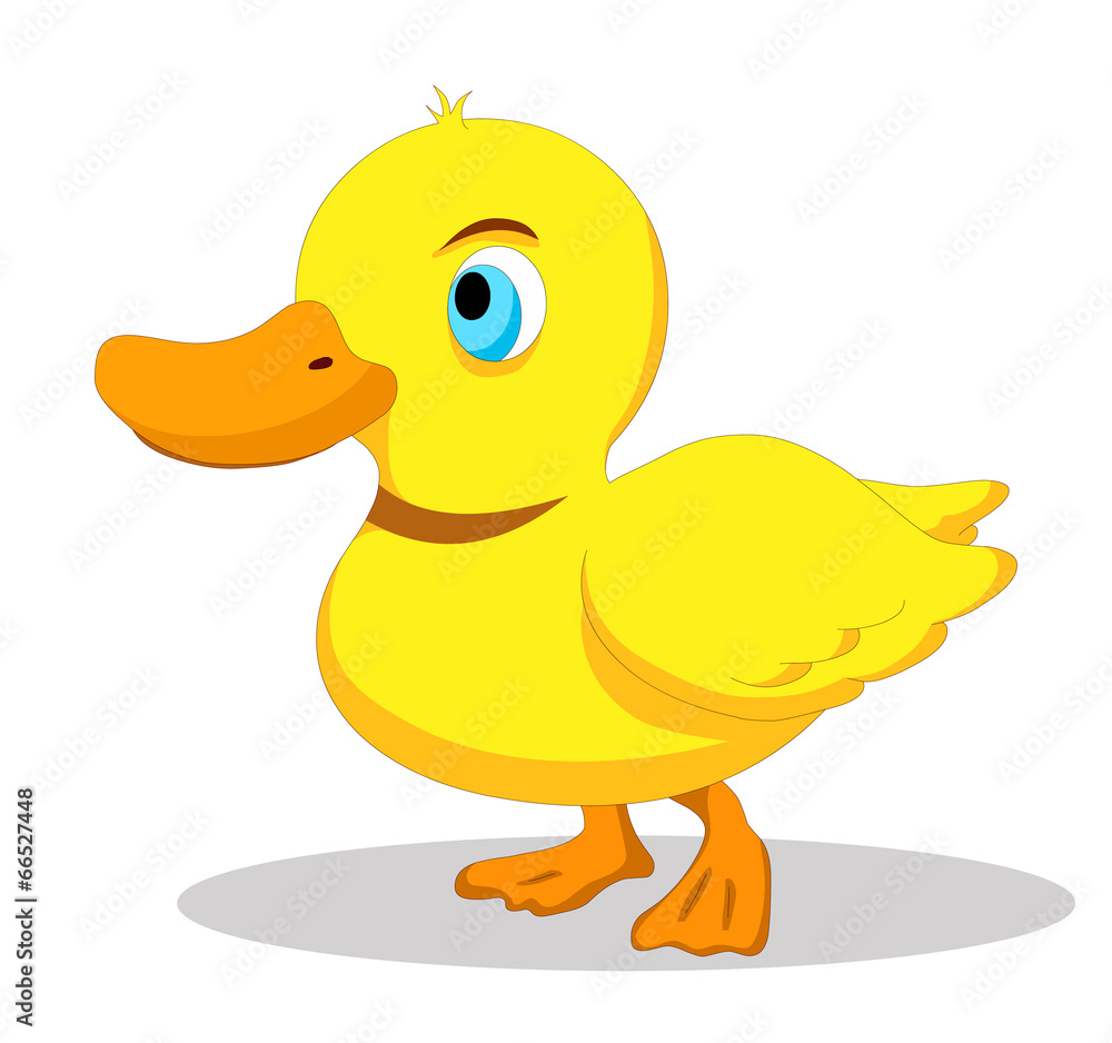 Illustration of cute duck Illustration of cute duck