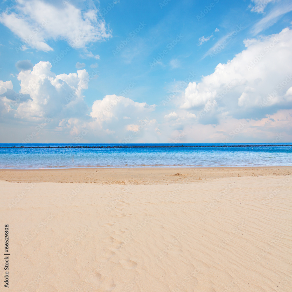 sea shore with blue sky