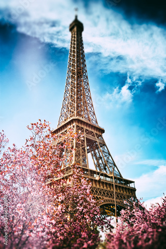 Fototapeta Naklejka Na Ścianę i Meble -  Springtime in Paris. Eiffel tower