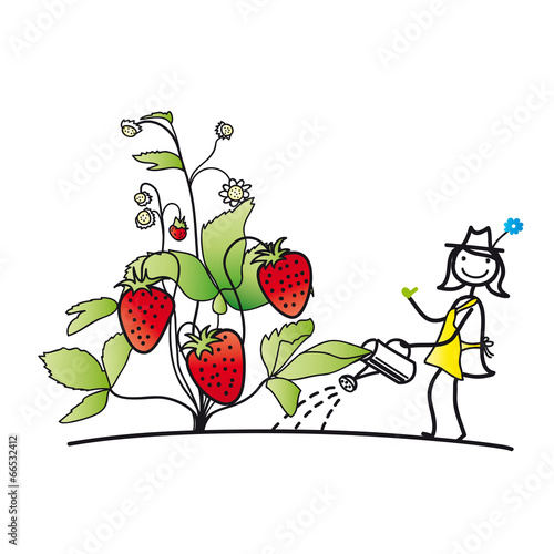 Hobby - Gärtnerin gießt Erdbeeren, Anbau von Erdbeeren im eigenen Garten, eigenes Obst im Garten anbauen und ernten, Selbstversorger werden
