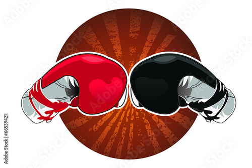Boxing Gloves