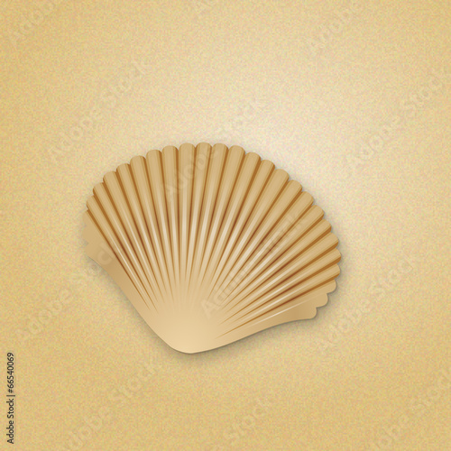 Muschel im Sand