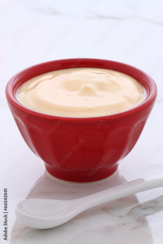plain french style yogurt plain french style yogurt