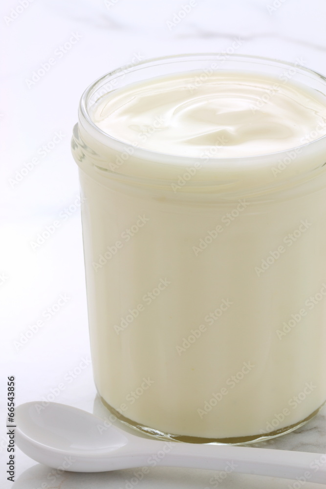 plain french style yogurt plain french style yogurt