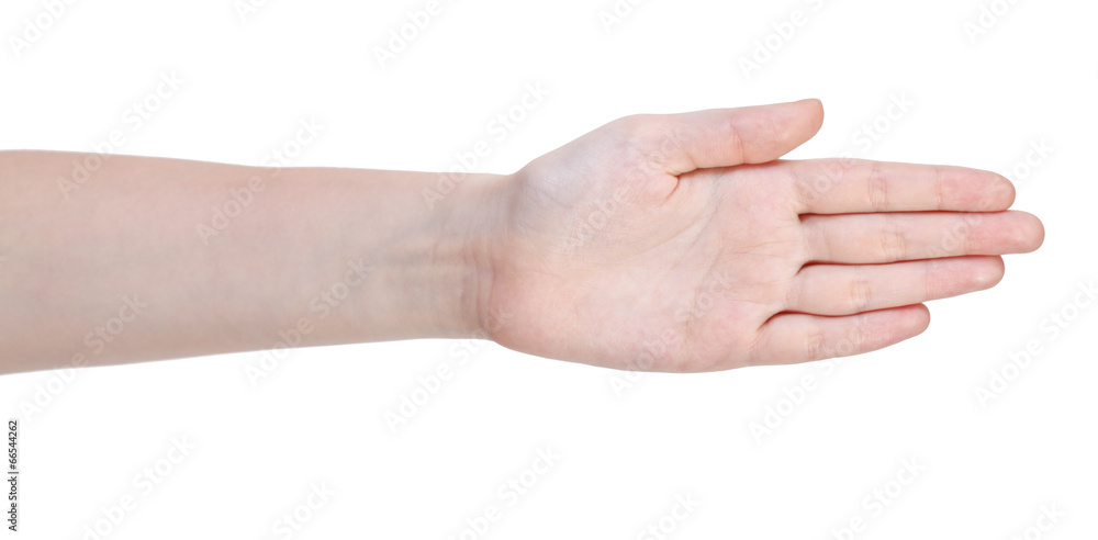 open straight five fingers hand gesture