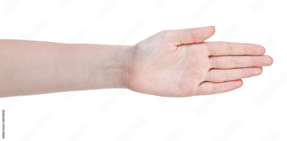open straight five fingers hand gesture open straight five fingers hand gesture