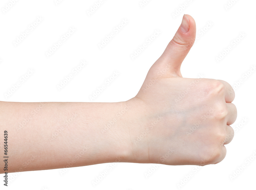 thumbs up - hand gesture thumbs up - hand gesture