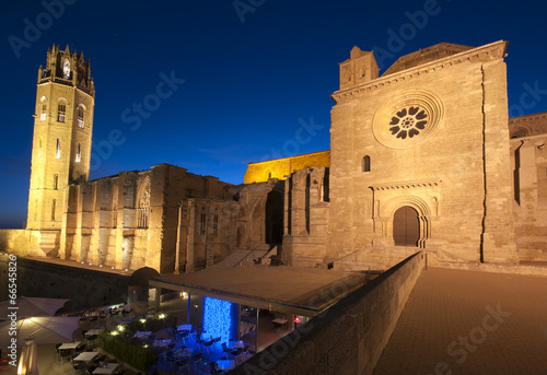 Night View of the LLeida Cathedral.Catalonia.Spain