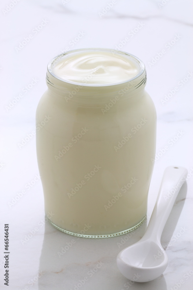 plain french style yogurt plain french style yogurt