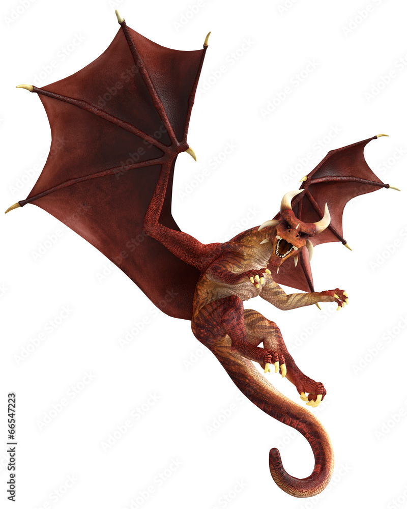 Fototapeta premium red dragon looking for you