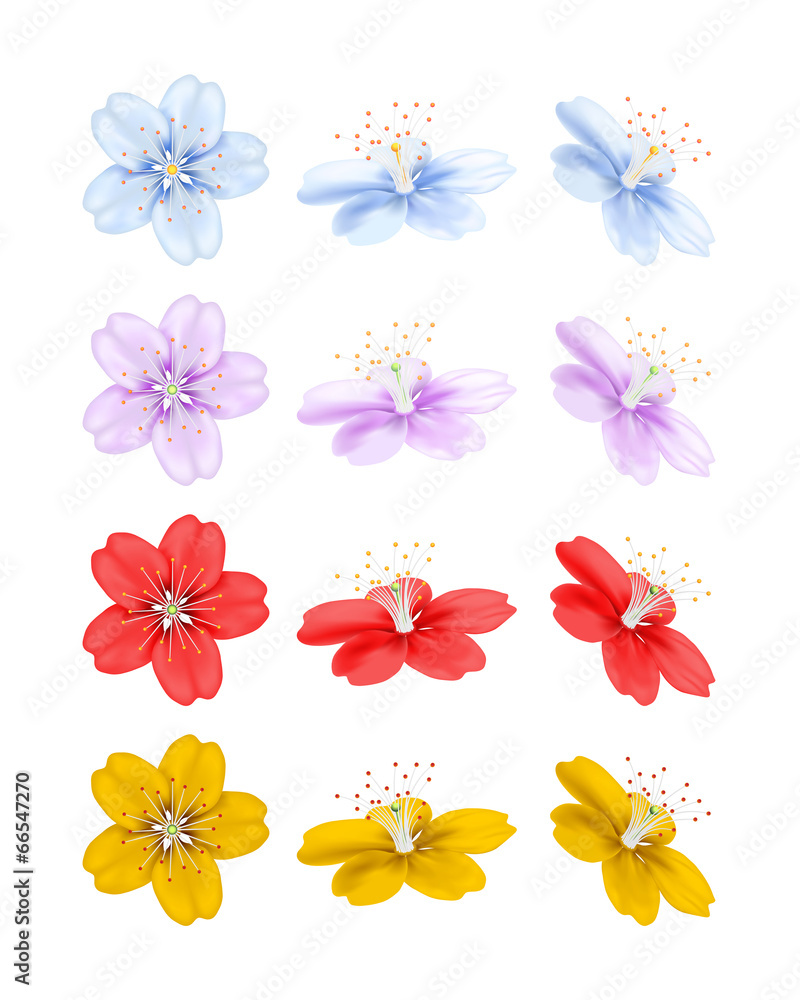 Flowers in different positions isolated on white Flowers in different positions isolated on white