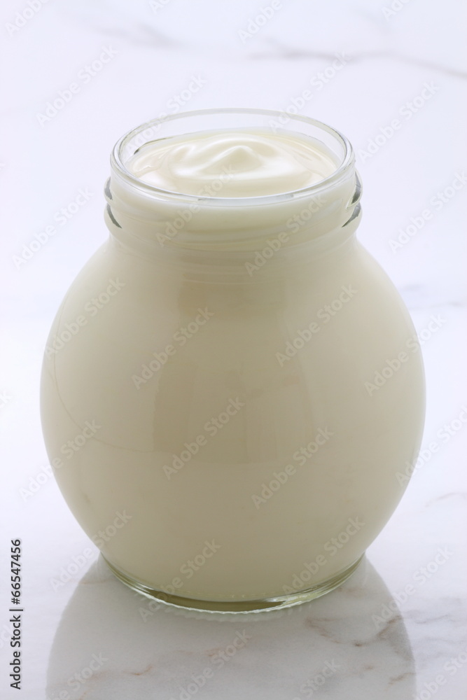 plain french style yogurt plain french style yogurt