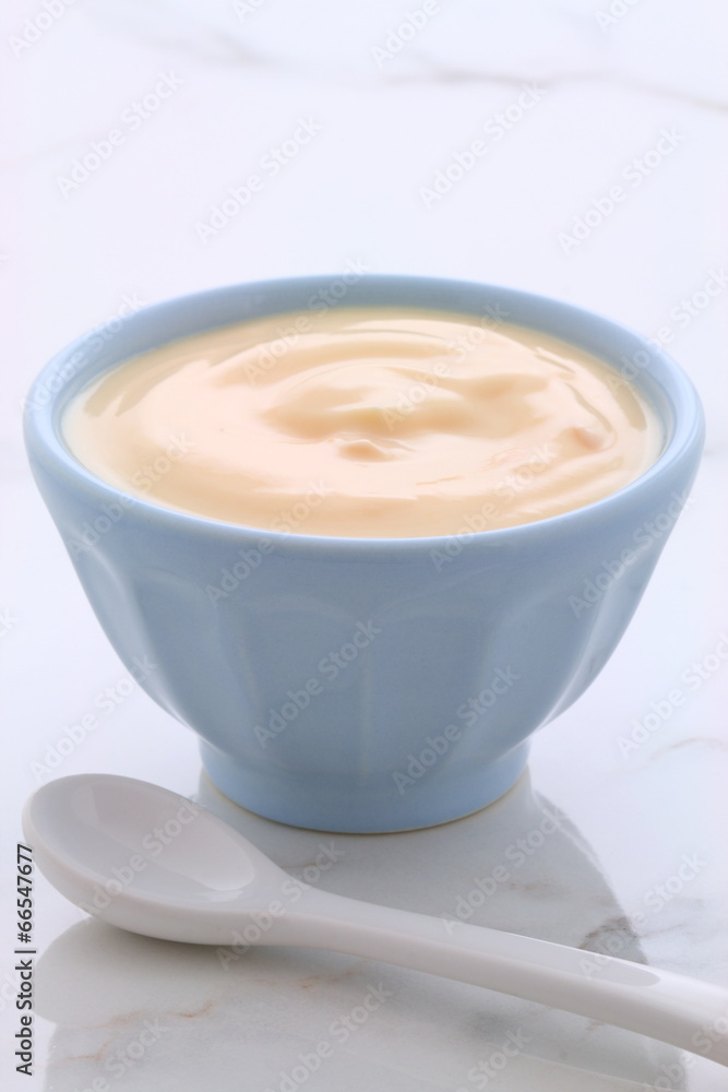 plain french style yogurt plain french style yogurt