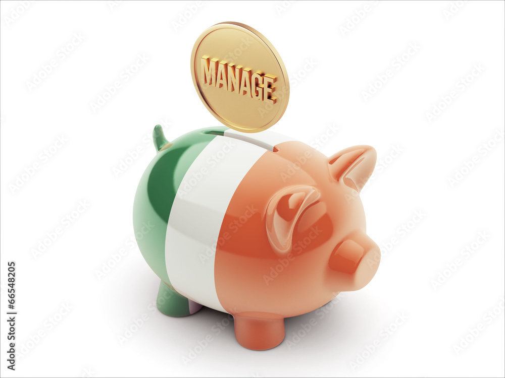 Ireland Manage Concept Piggy Concept Ireland Manage Concept Piggy Concept