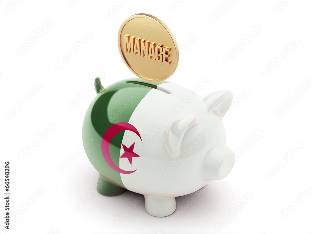 Algeria Manage Concept Piggy Concept Algeria Manage Concept Piggy Concept