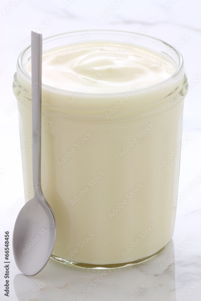 plain french style yogurt plain french style yogurt