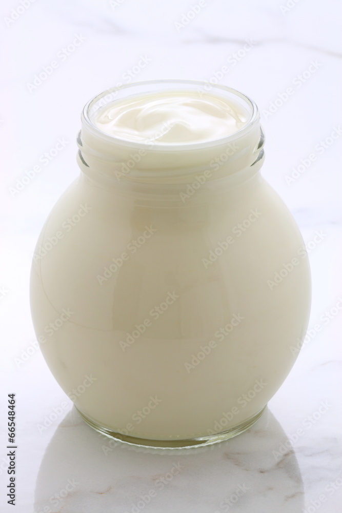 plain french style yogurt plain french style yogurt