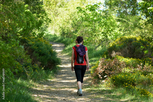 mujer caminando por un camino entre arboles en verano