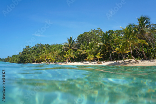 Sandy beach with tropical vegetation Caribbean sea © dam