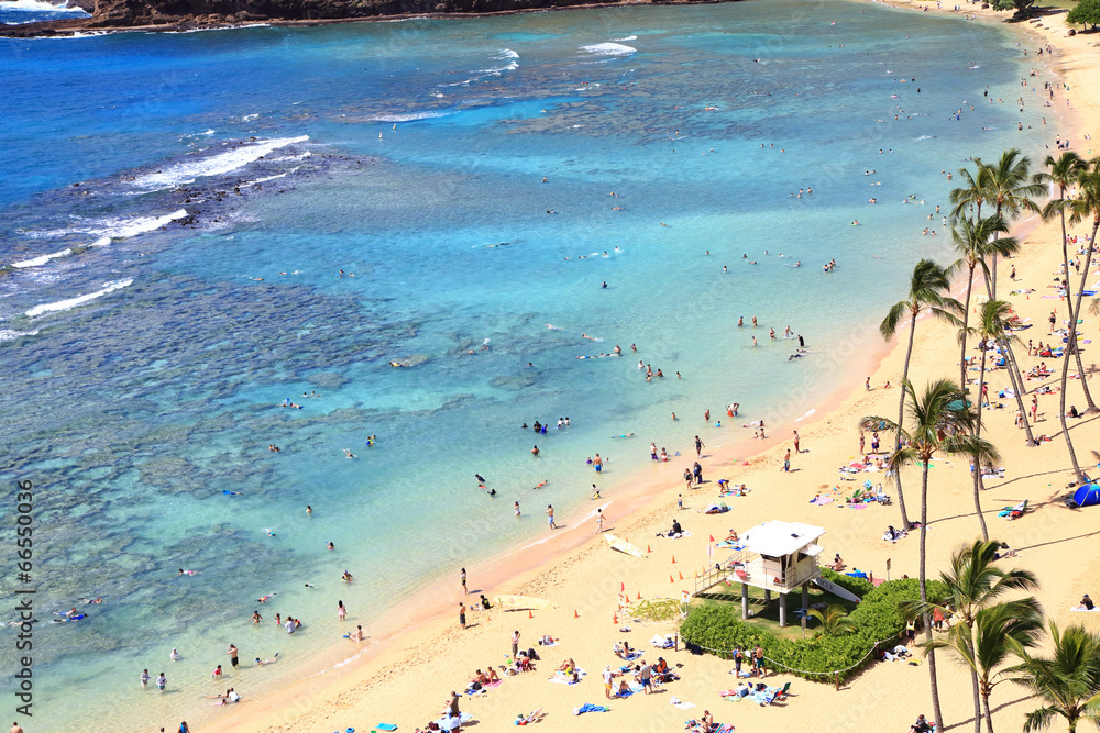 ハワイ　オアフ島ハナウマ湾のビーチと砂浜