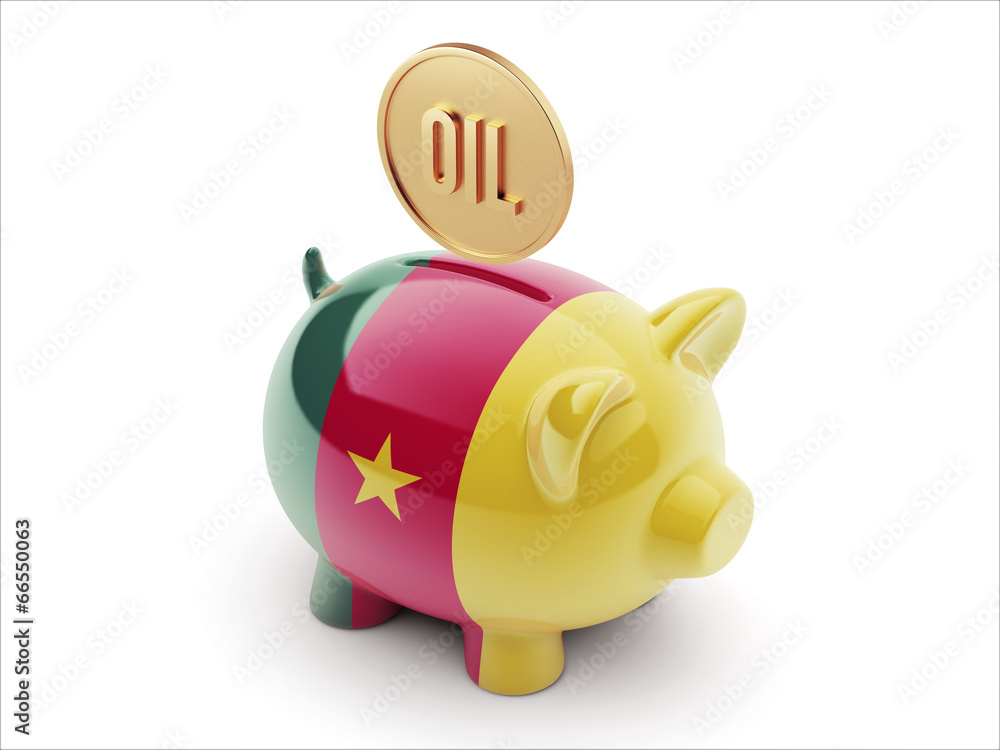 Cameroon Piggy Concept Cameroon Piggy Concept