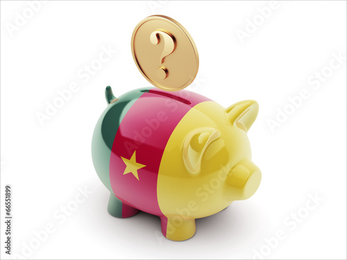 Cameroon Piggy Concept