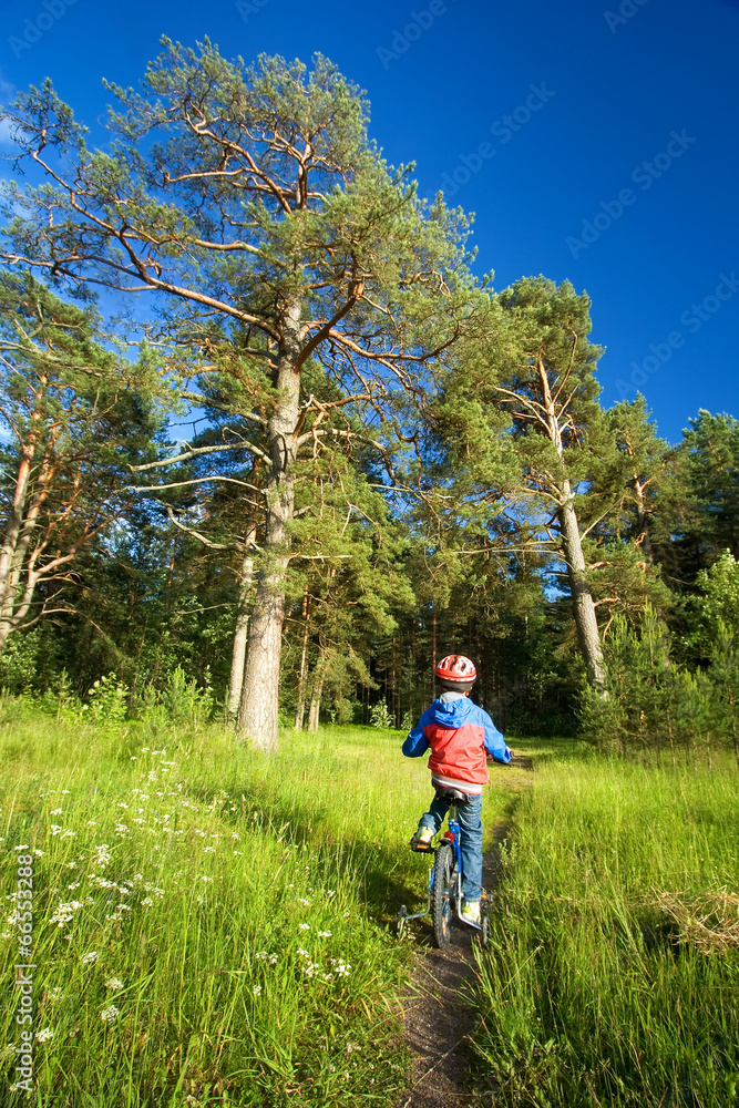 Obraz premium Boy on bike in the forest