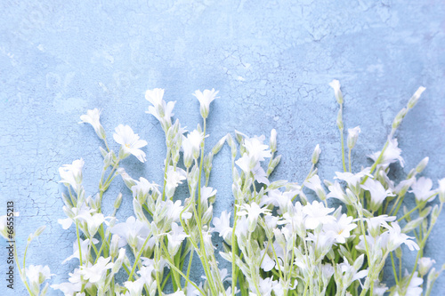 White wildflowers on color wooden background