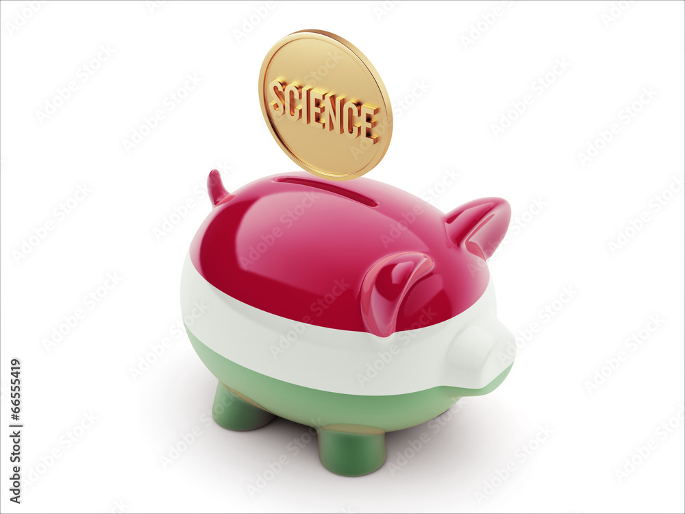 Fototapeta premium Hungary Science Concept Piggy Concept