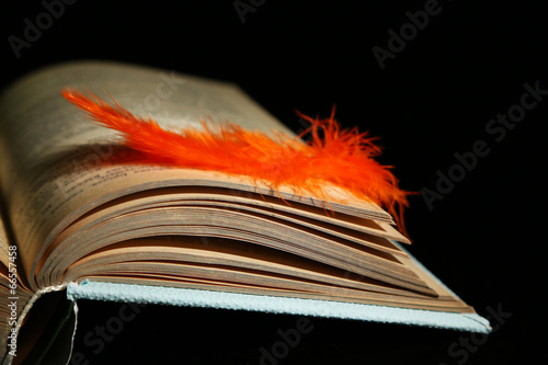 Fotografie Feather lying on pages of  open book, isolated on black