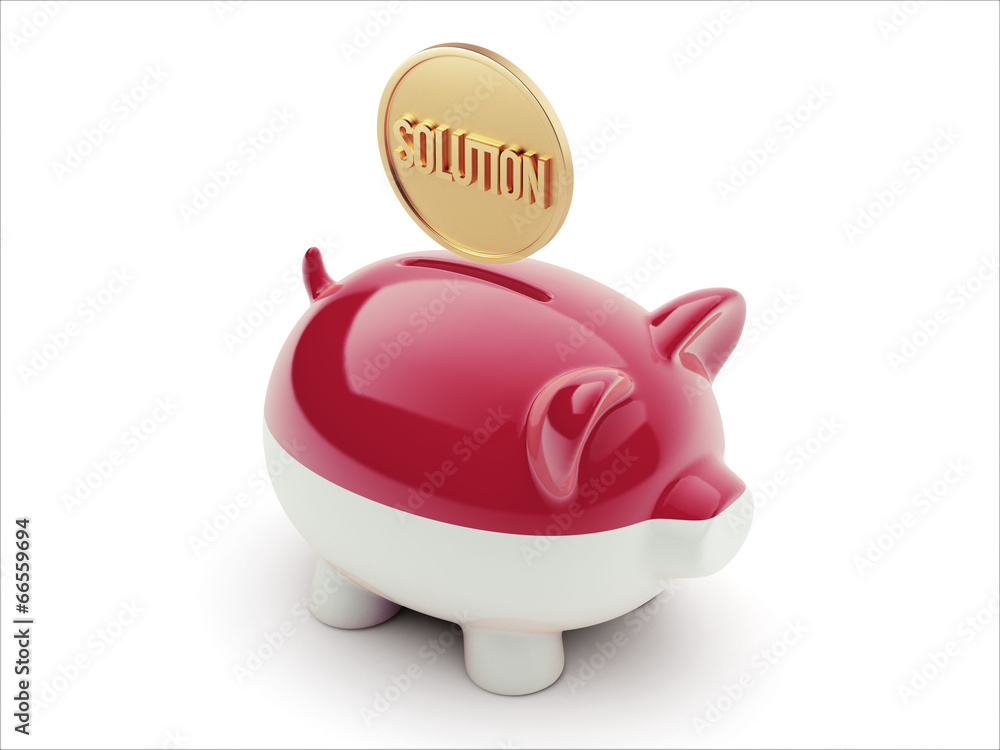 Indonesia Solution Concept Piggy Concept Indonesia Solution Concept Piggy Concept