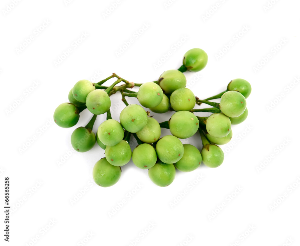 turkey berry turkey berry