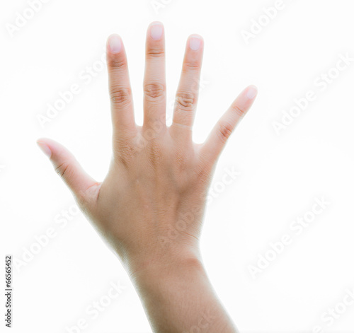 Woman hands holding isolate © sorapop