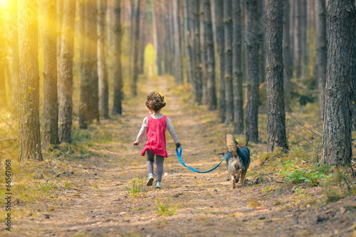 Little girl with dog walking in the forest back to camera