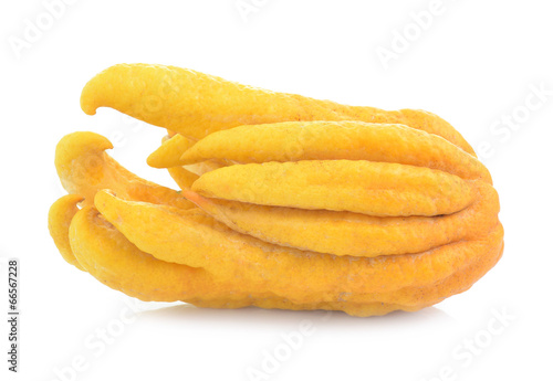fragrant Buddha's hand or fingered citron fruit, Citrus medica