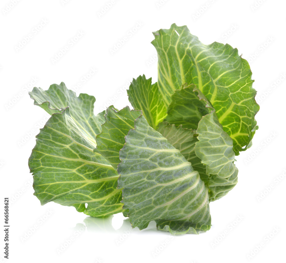cabbage isolated on white background cabbage isolated on white background