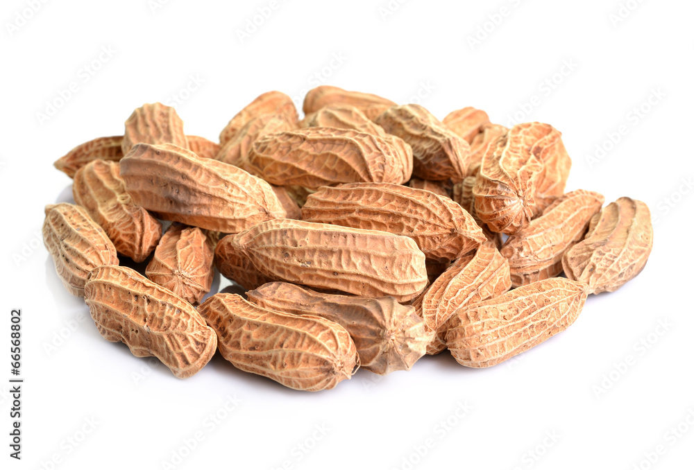 Dried Peanuts isolated on white background Dried Peanuts isolated on white background