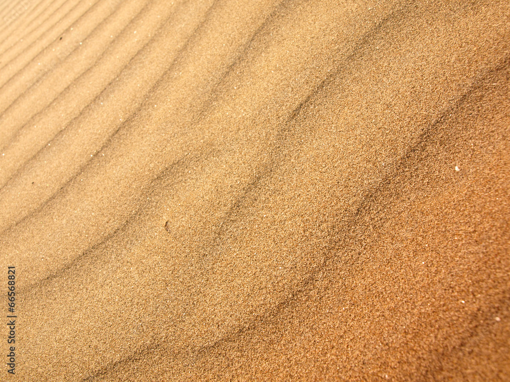 Sand dune background Sand dune background
