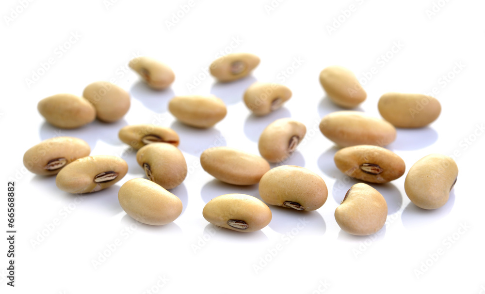 Dried soybeans isolate on white Dried soybeans isolate on white