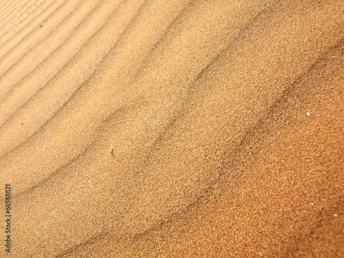 Sand dune background