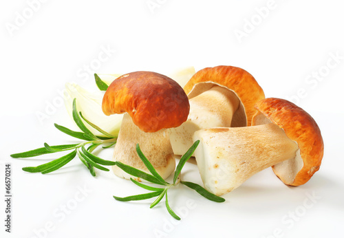 Cuadro en lienzo Fresh porcini mushrooms