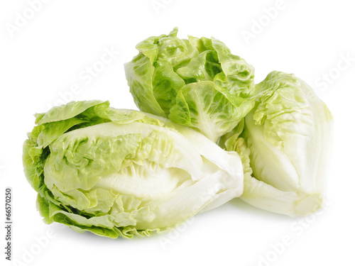 Tasty Chinese cabbage isolated on white background
