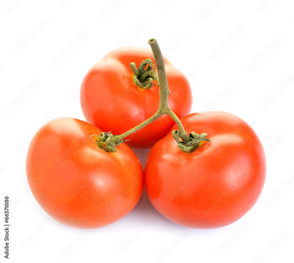 tometoes isolate on white background tometoes isolate on white background