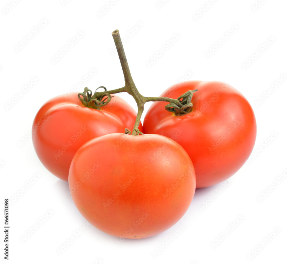 tomatoes isolate on white background tomatoes isolate on white background
