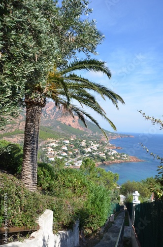 Massif de l'Esterel photo