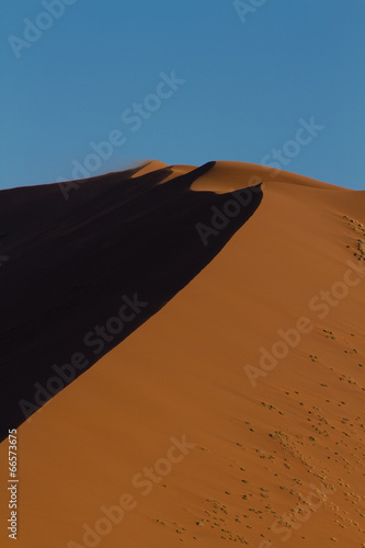 Detail of an orange sand dune